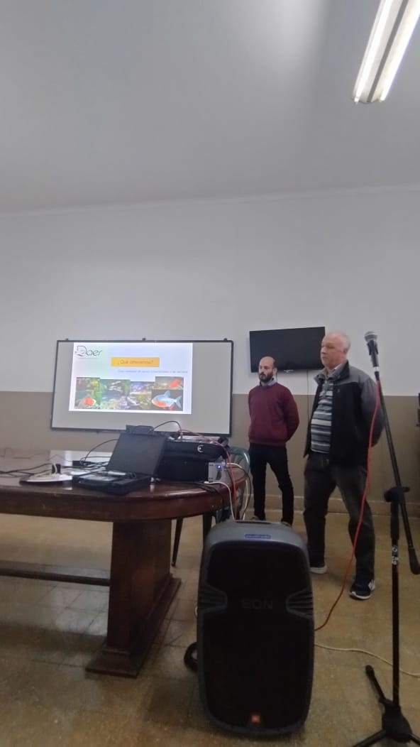 Imagen 11