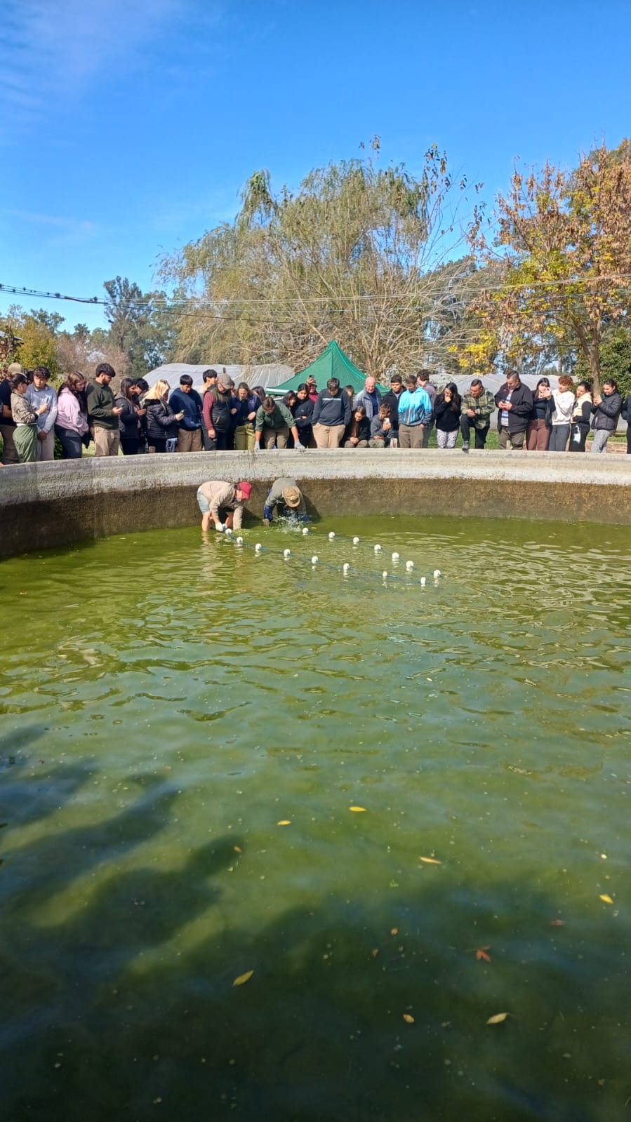 Imagen 14
