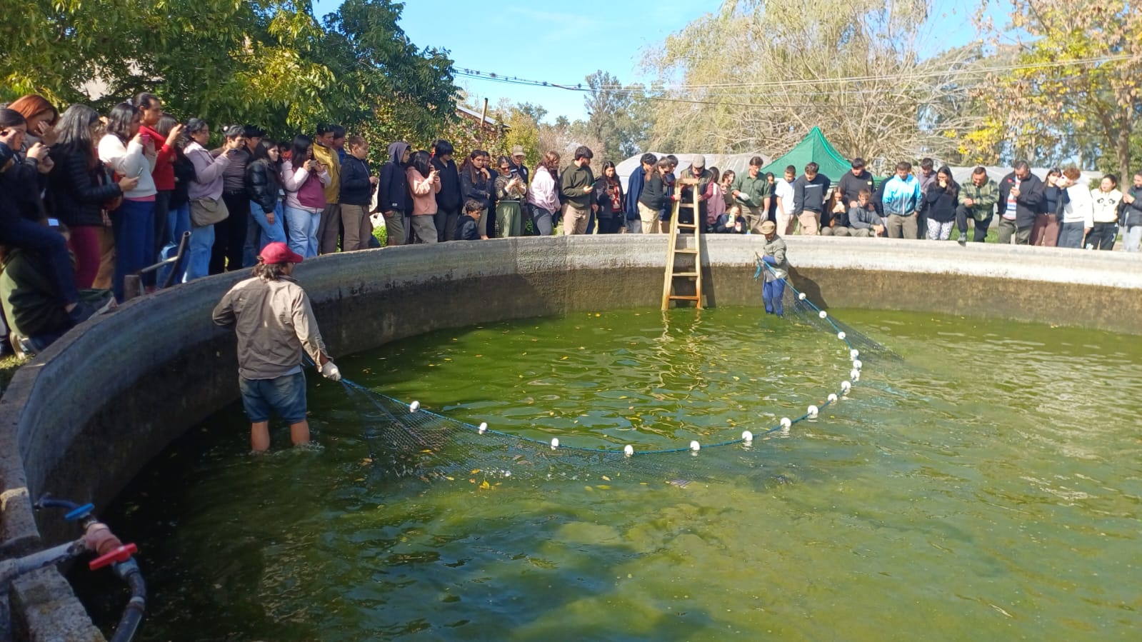 Imagen 7